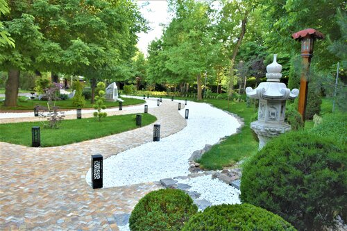 Yapon mushukchasini korsatish