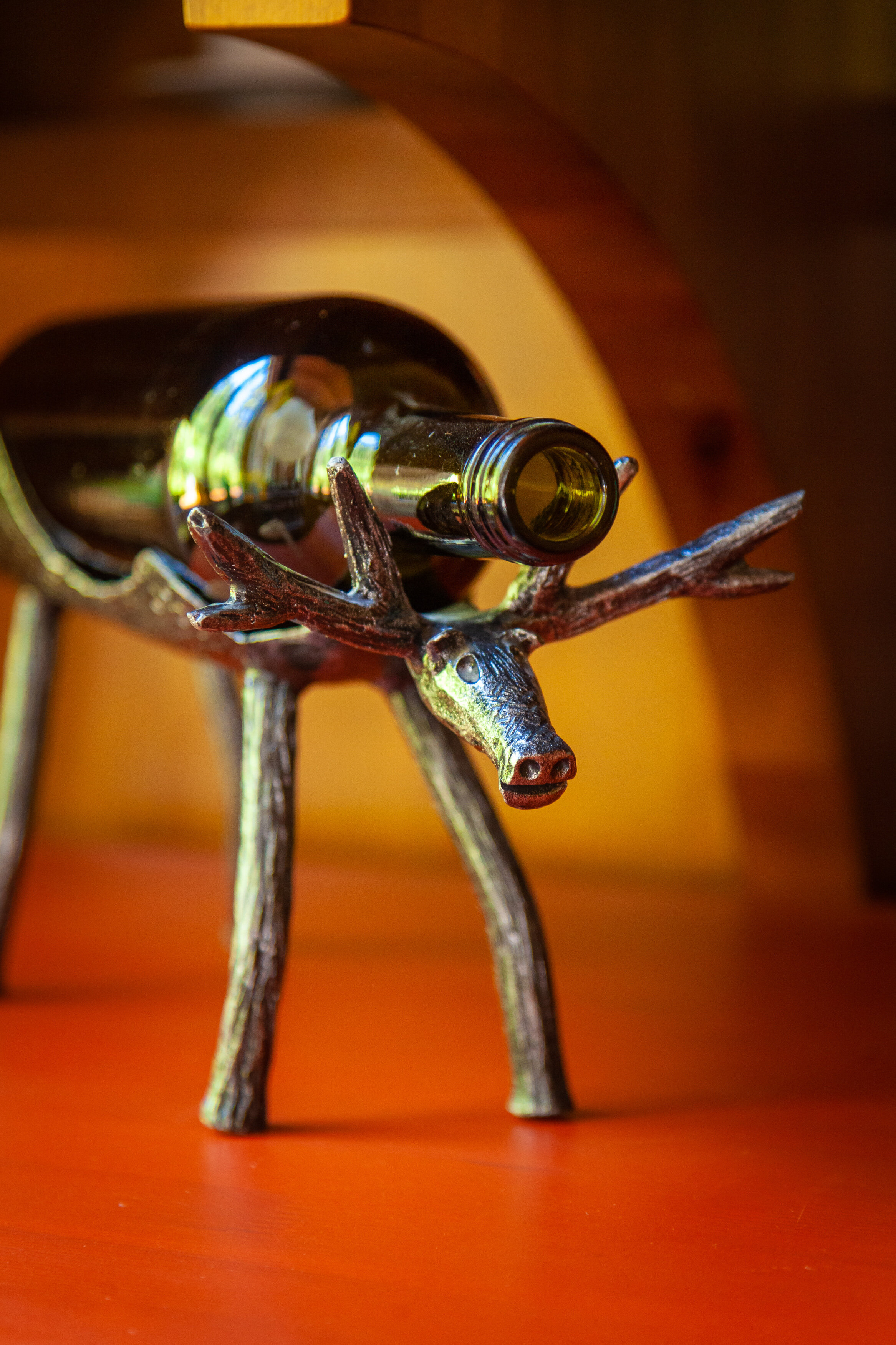 Фото Леонтоподиум