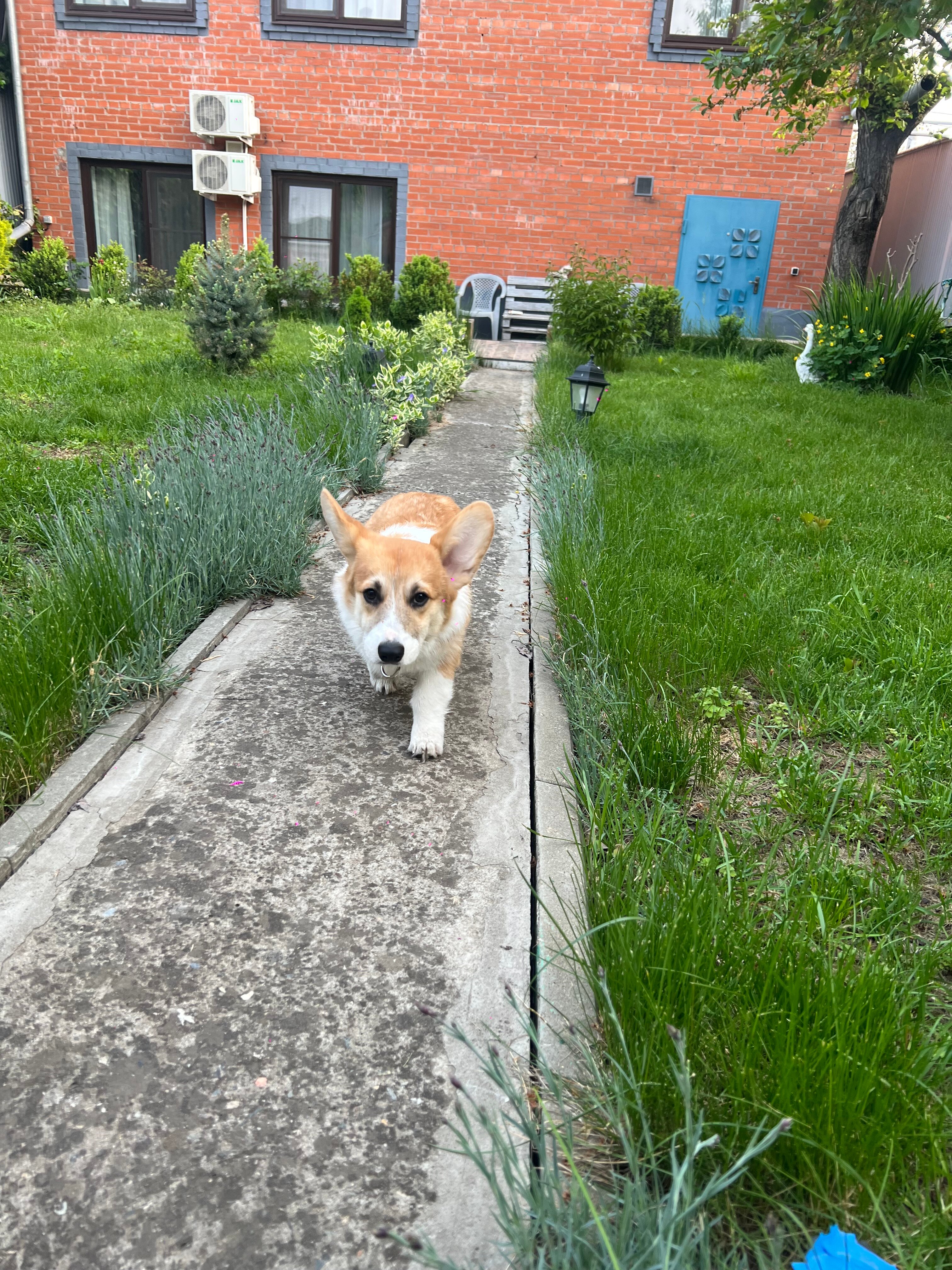 Фото Городской Бутик
