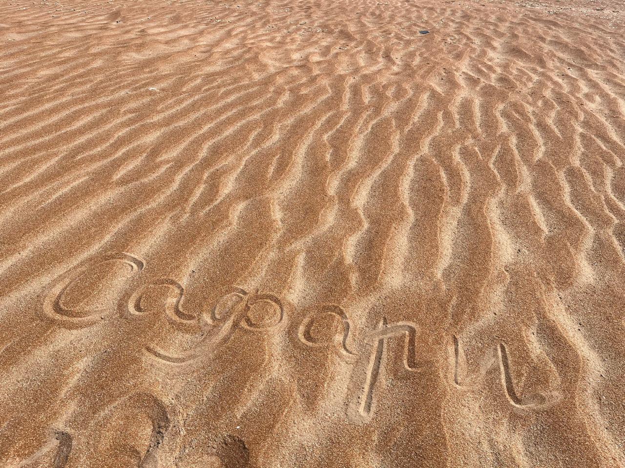 Фото Сафари