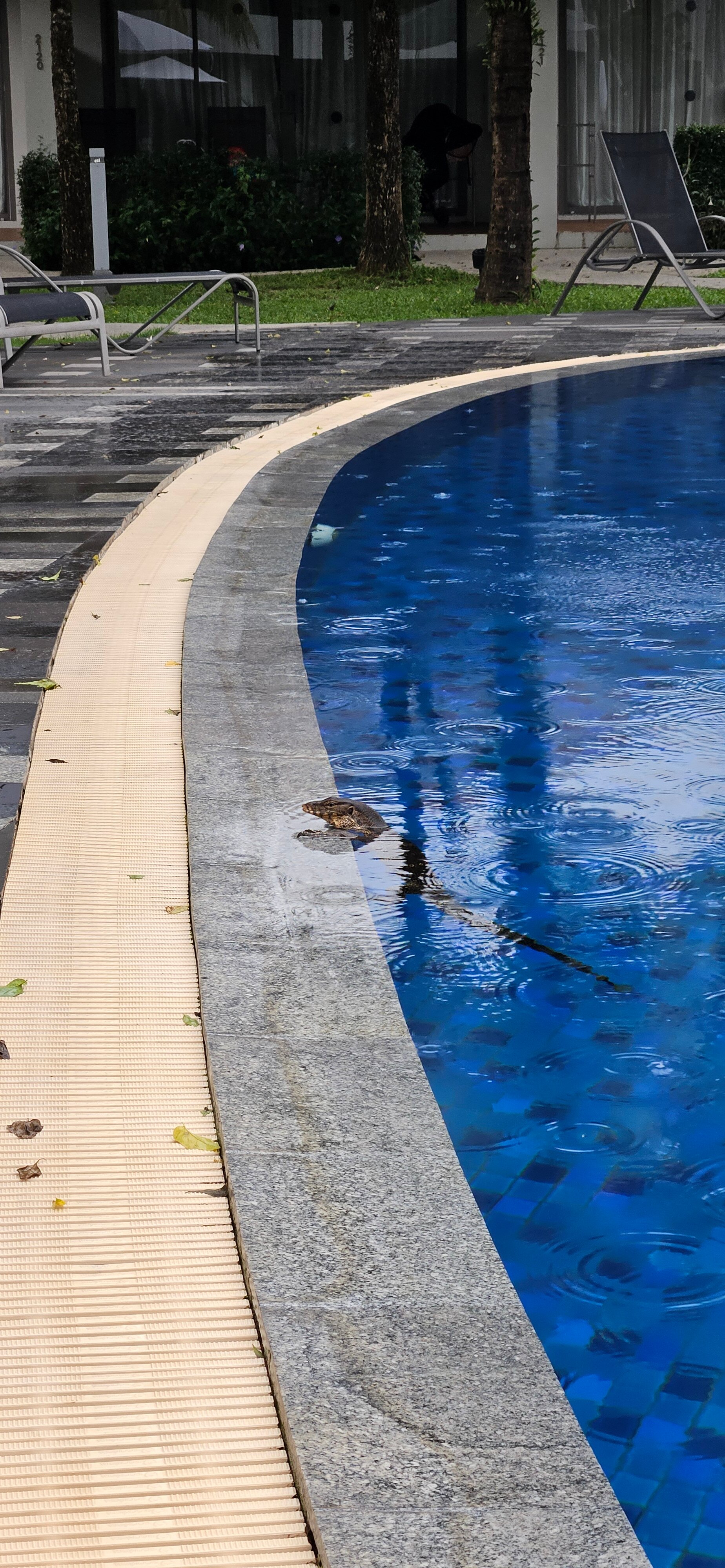 Фото X10 Khaolak Resort