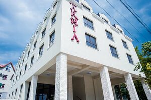 Гостиница Hotel Arnia