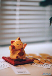 Гостиница Luna