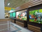 Овощи и фрукты (Chekhov street, 22), frutería