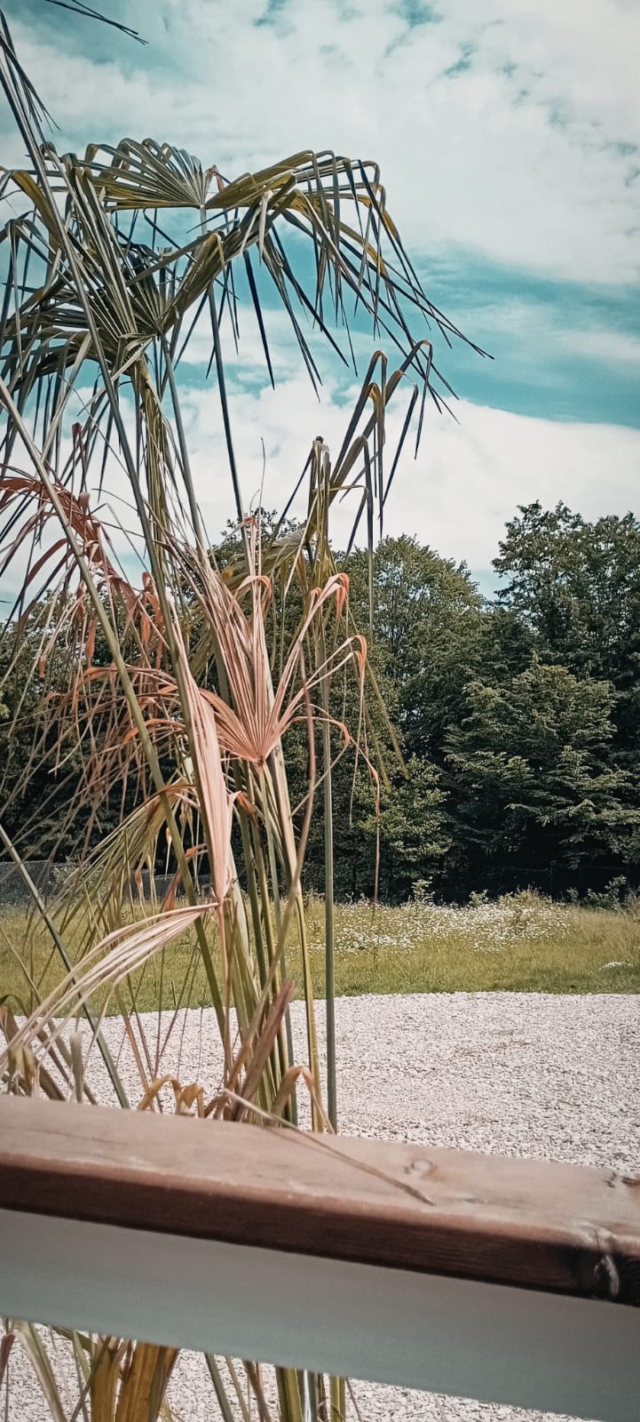 Фото Вилла Домики