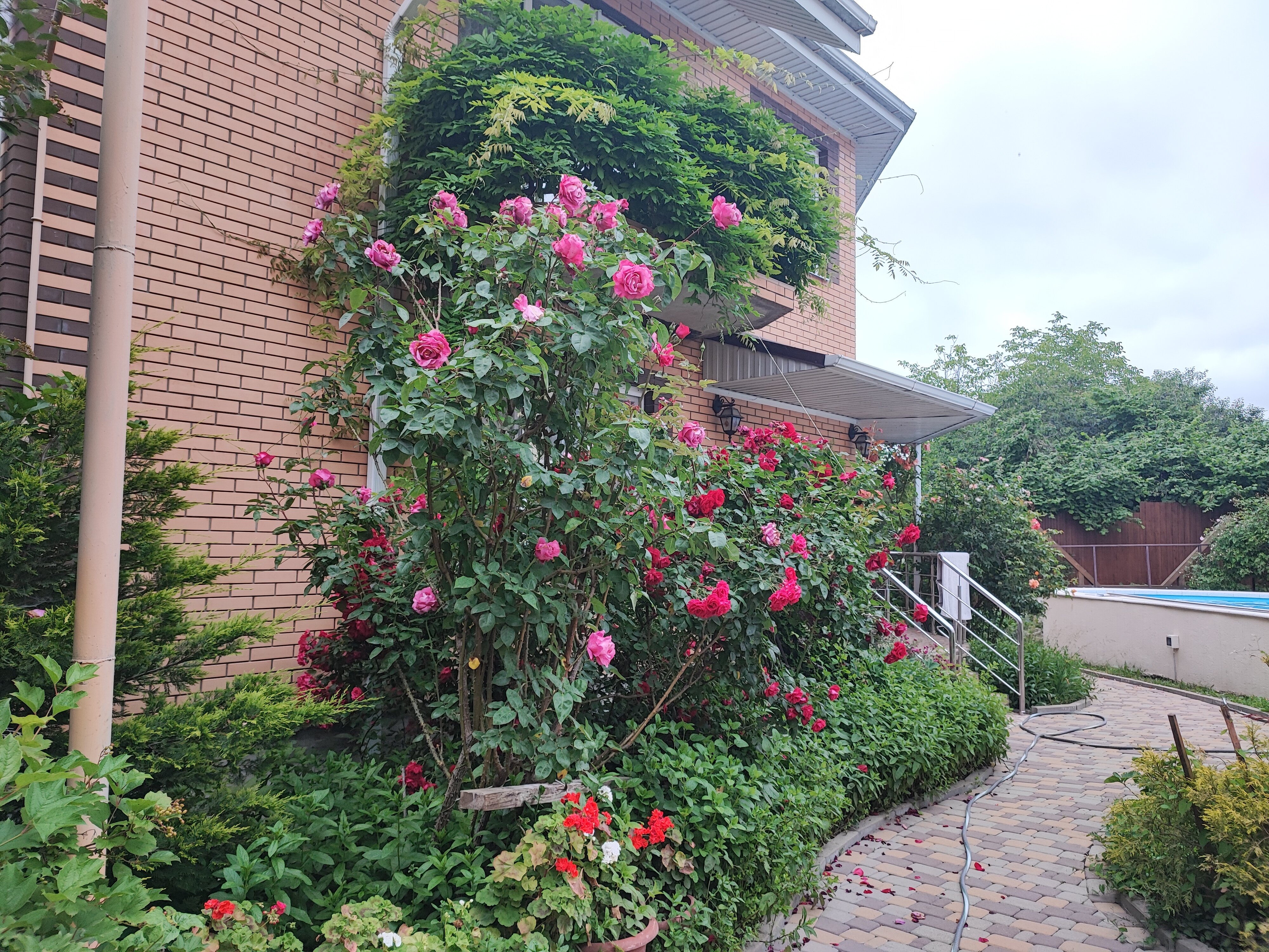 Фото Южный причал