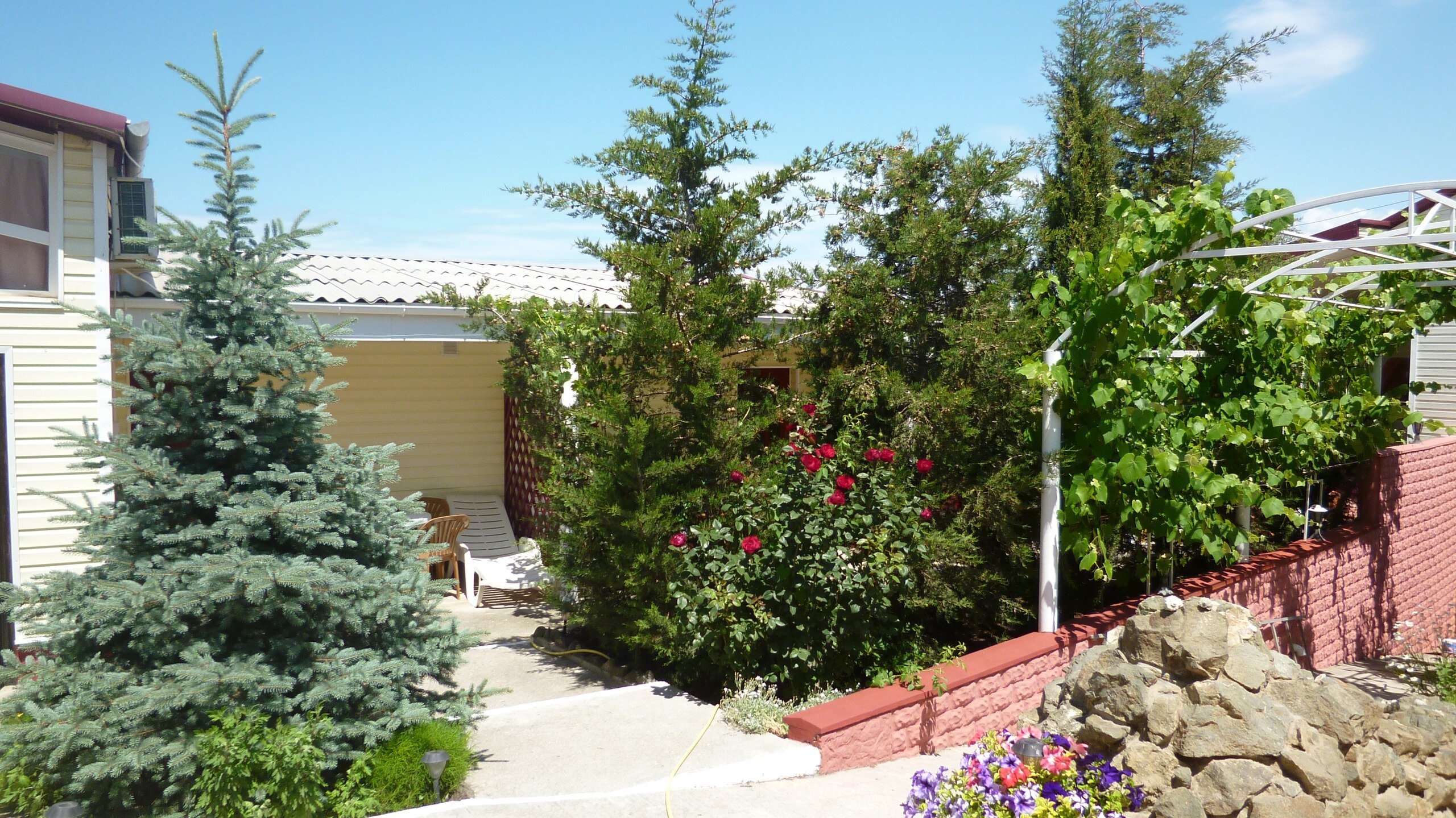 Фото Лукулл