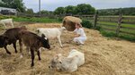Ферма Никитиных (selo Burnashevo, Kolkhoznaya ulitsa, 17), empresa agrícola