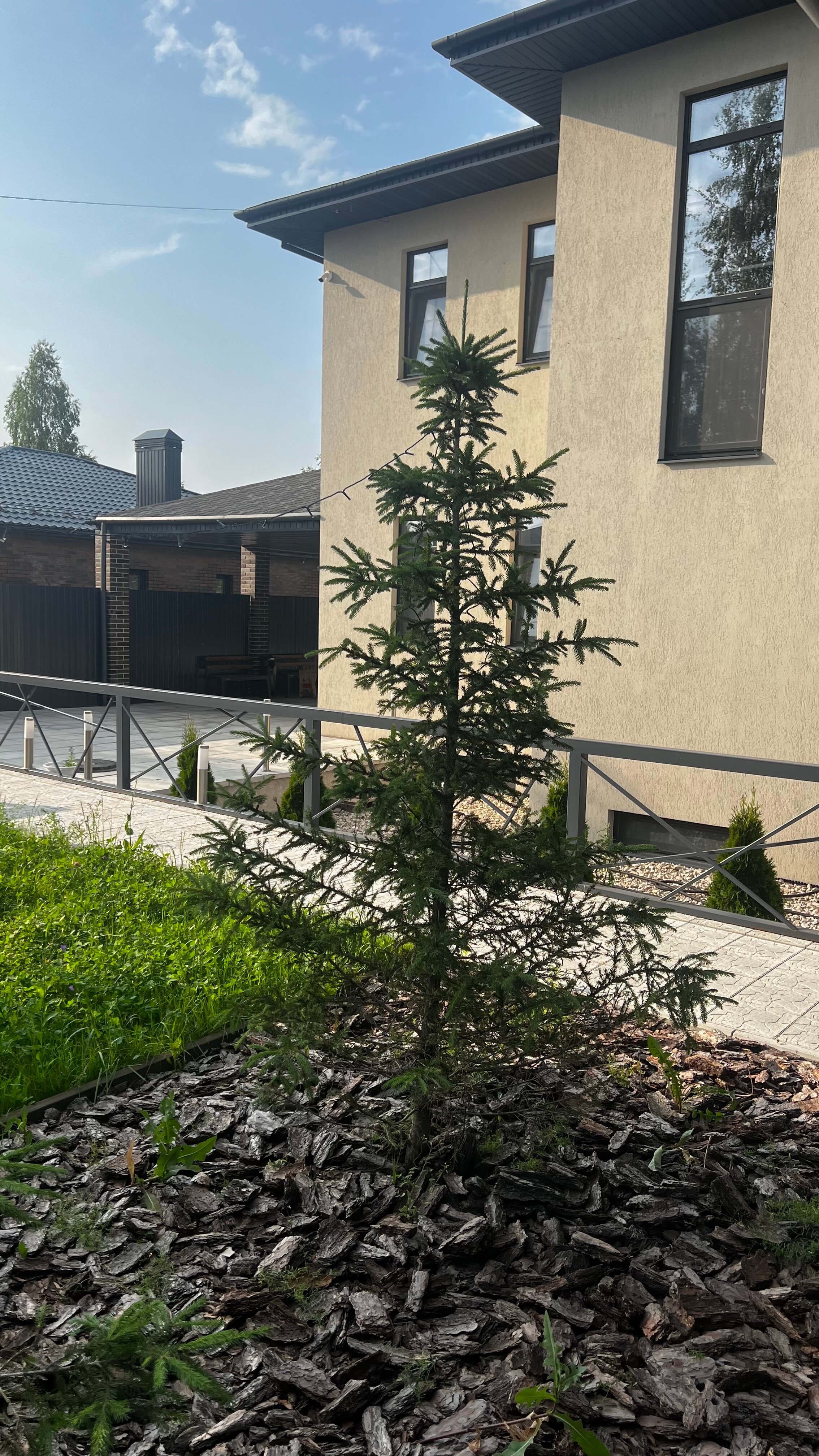 Фото Family Time