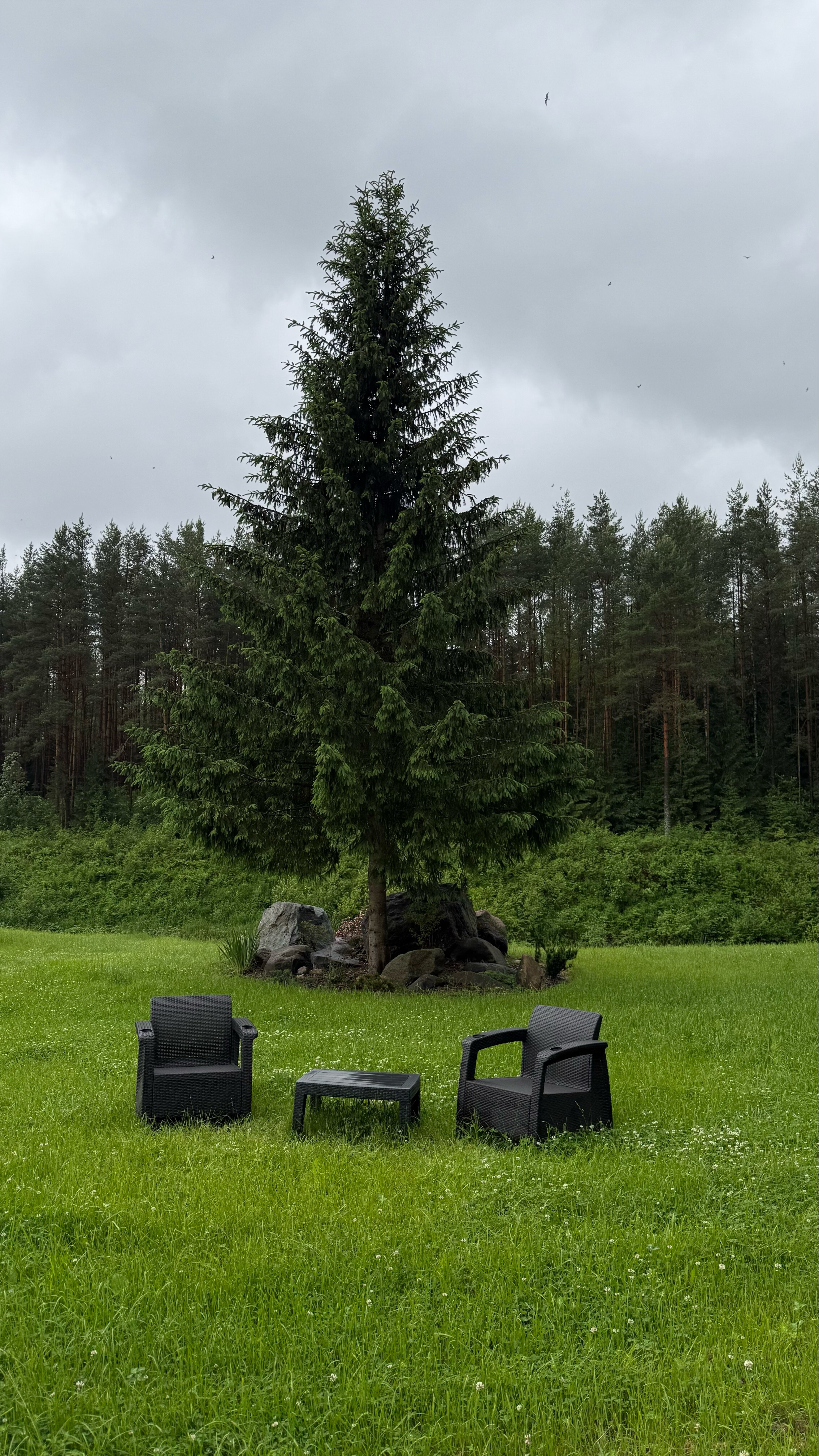 Фото ГлинтВуд