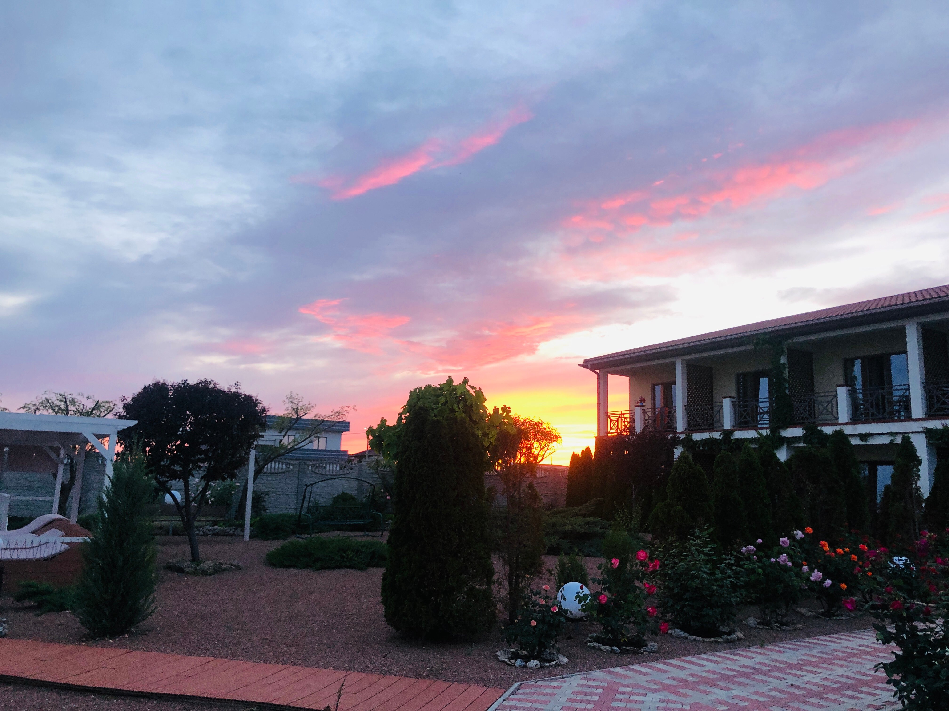 Фото Амидея