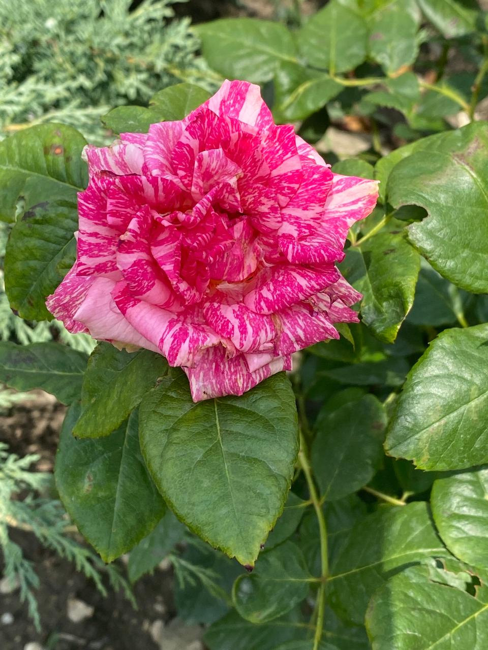 Фото Морской