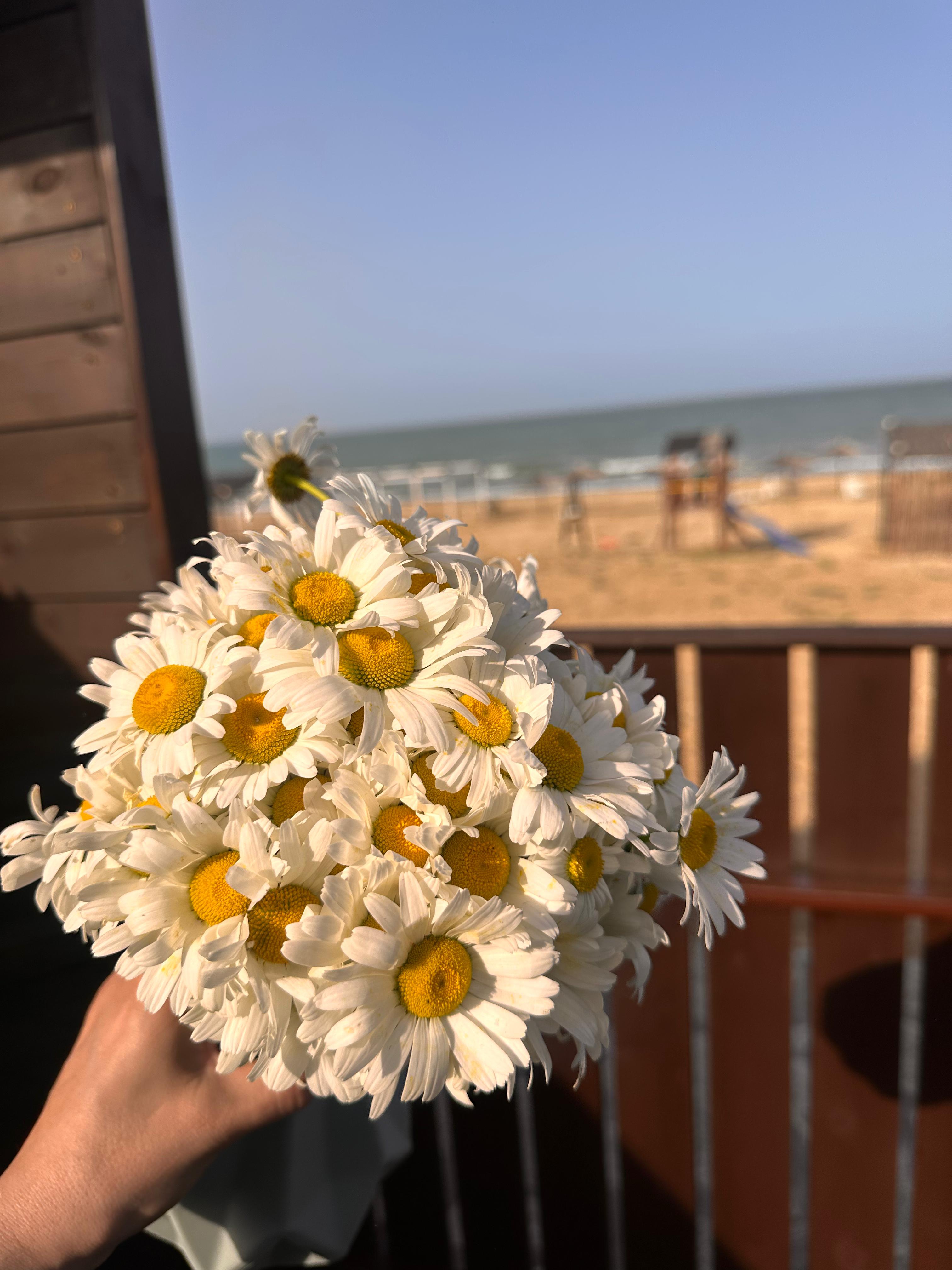 Фото Тихая гавань