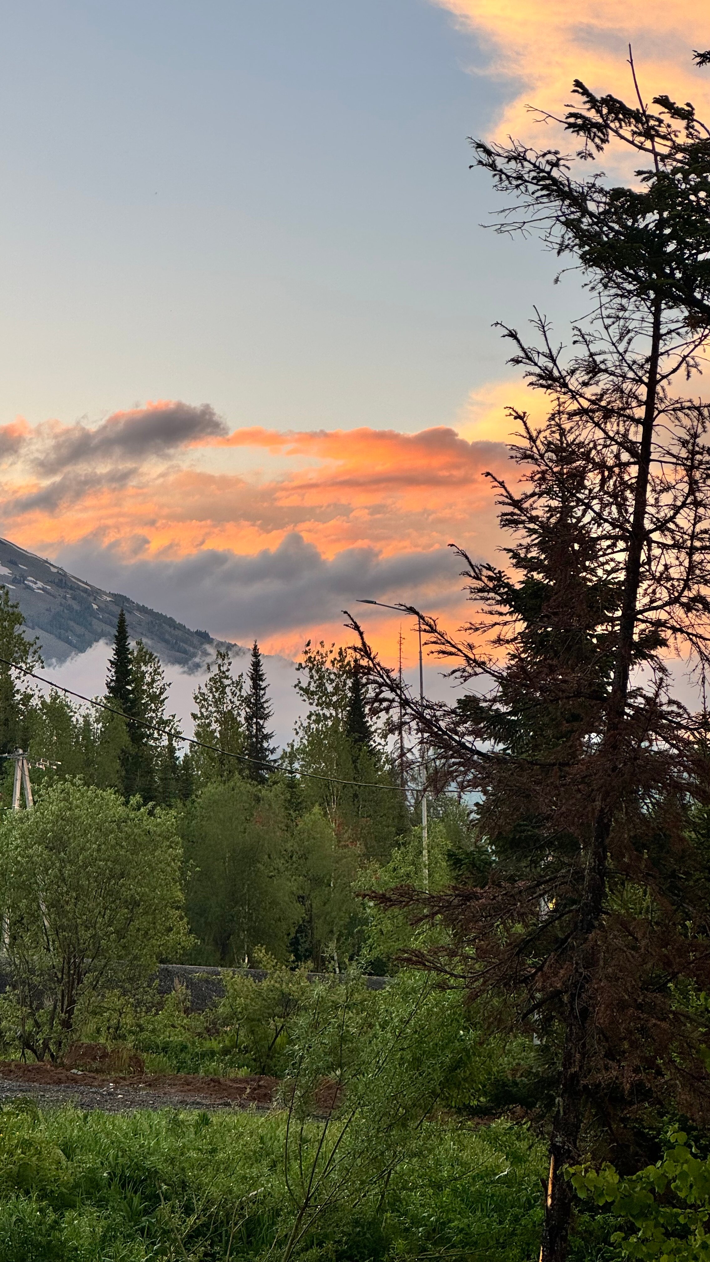 Фото All_in_Gesh