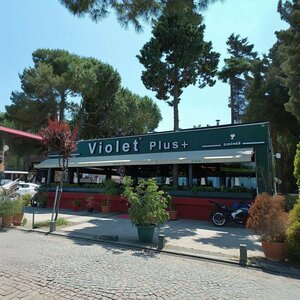 Violet Plus Cafe (Samsun, Atakum, Adnan Menderes 2. Kısım Blv., 51), cafe