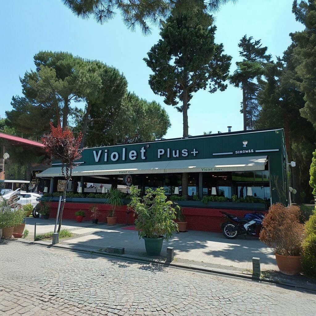 Cafe Violet Plus Cafe, Samsun, photo