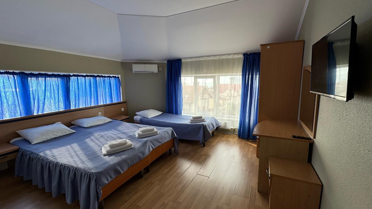 Фото Клевер