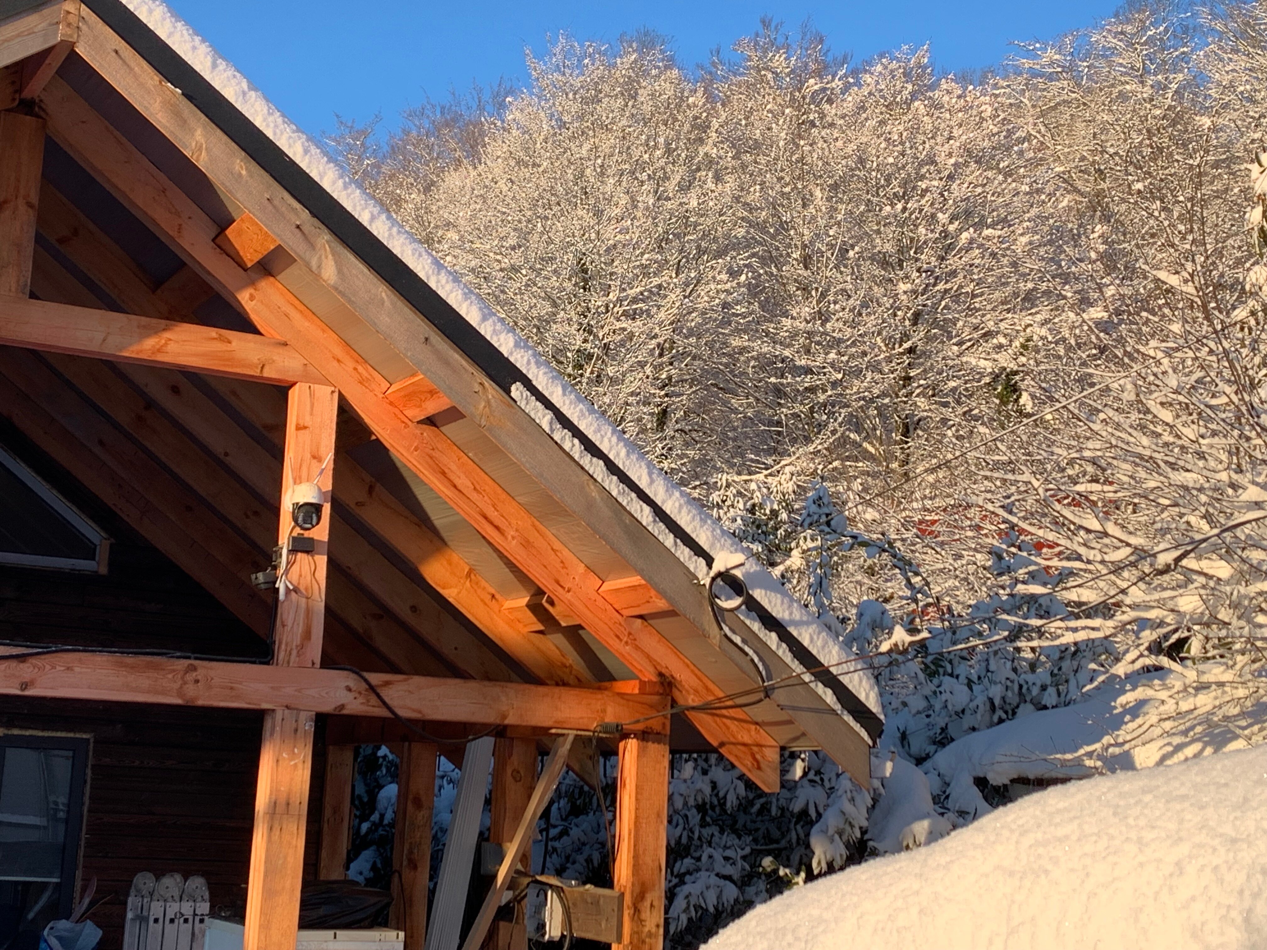 Фото Форелька