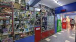 Chameleon_shop_01 (Grıgorıı Potanın kóshesi, 2) ، لوازم قضاء عطلة