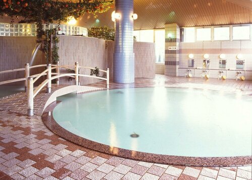 Гостиница Minamida Onsen Hotel Apple Land