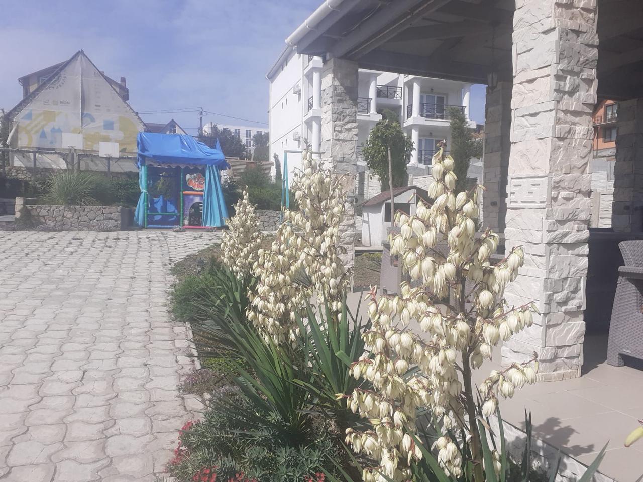 Фото Калипсо