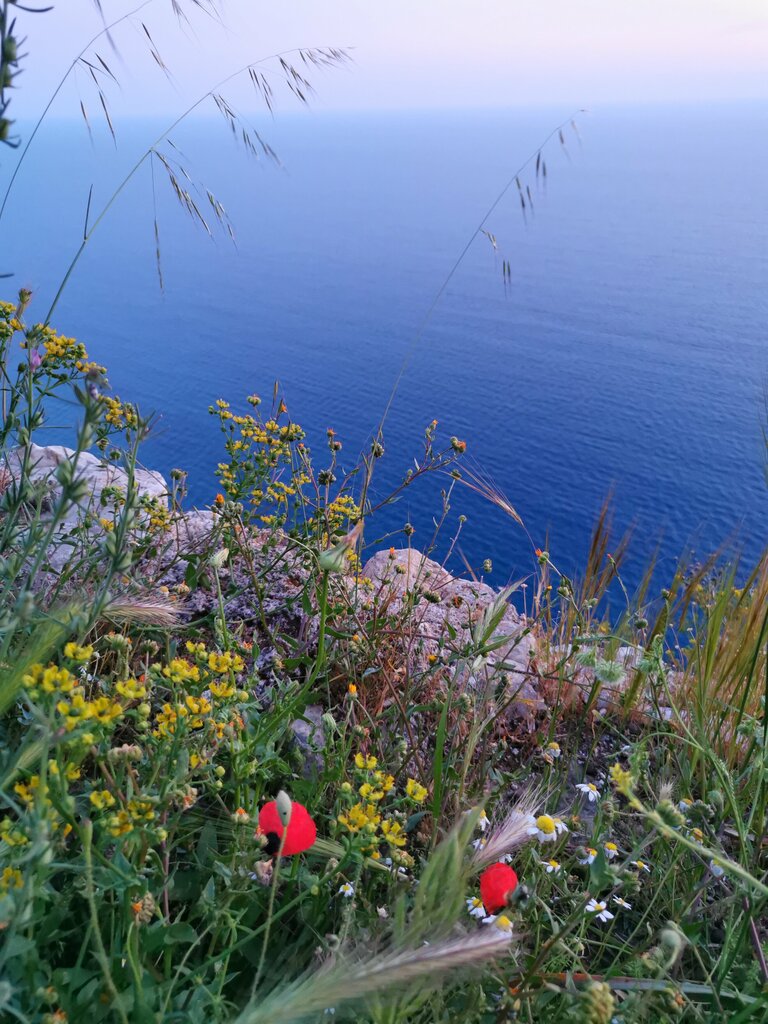 Landmark, attraction Selinus Ancient City, Gazipasa, photo