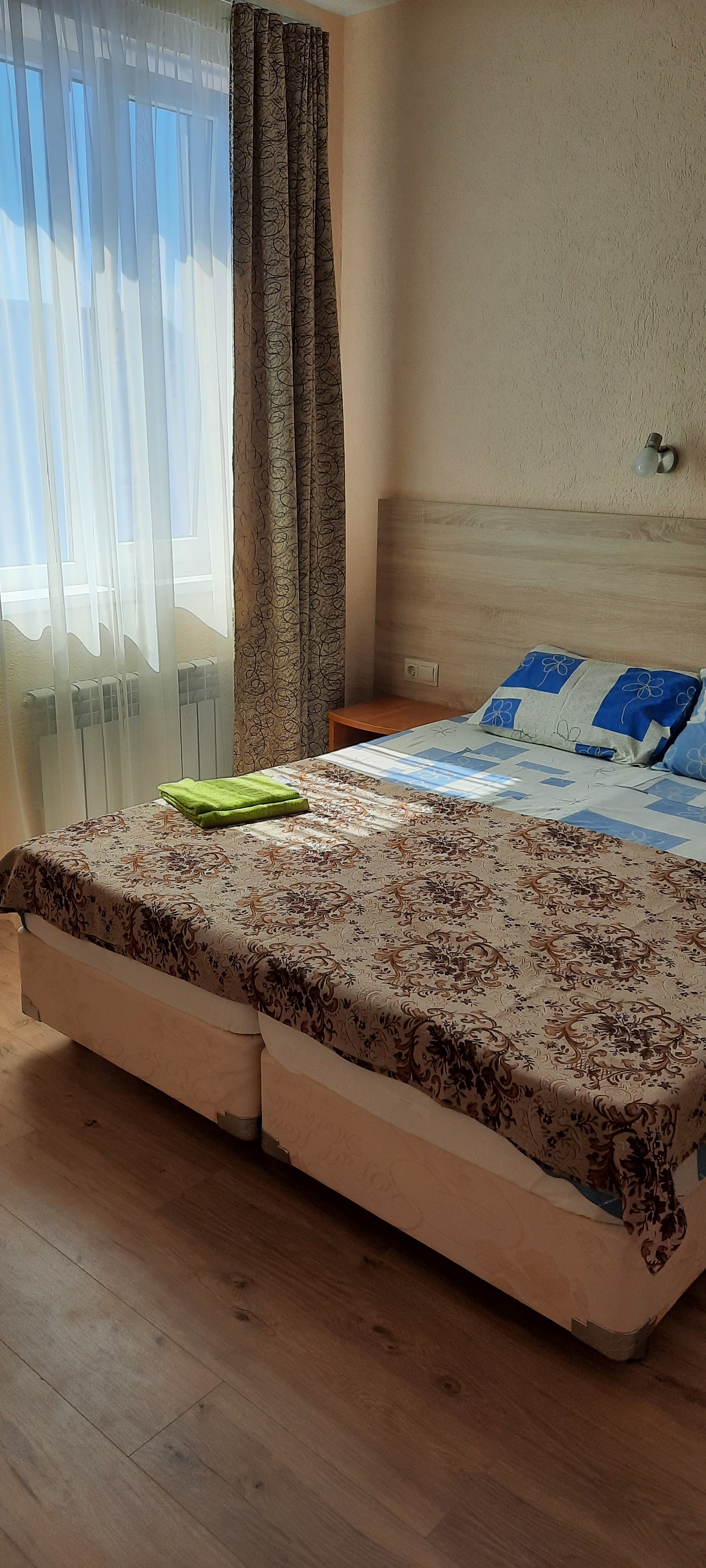 Фото Золотой Лев