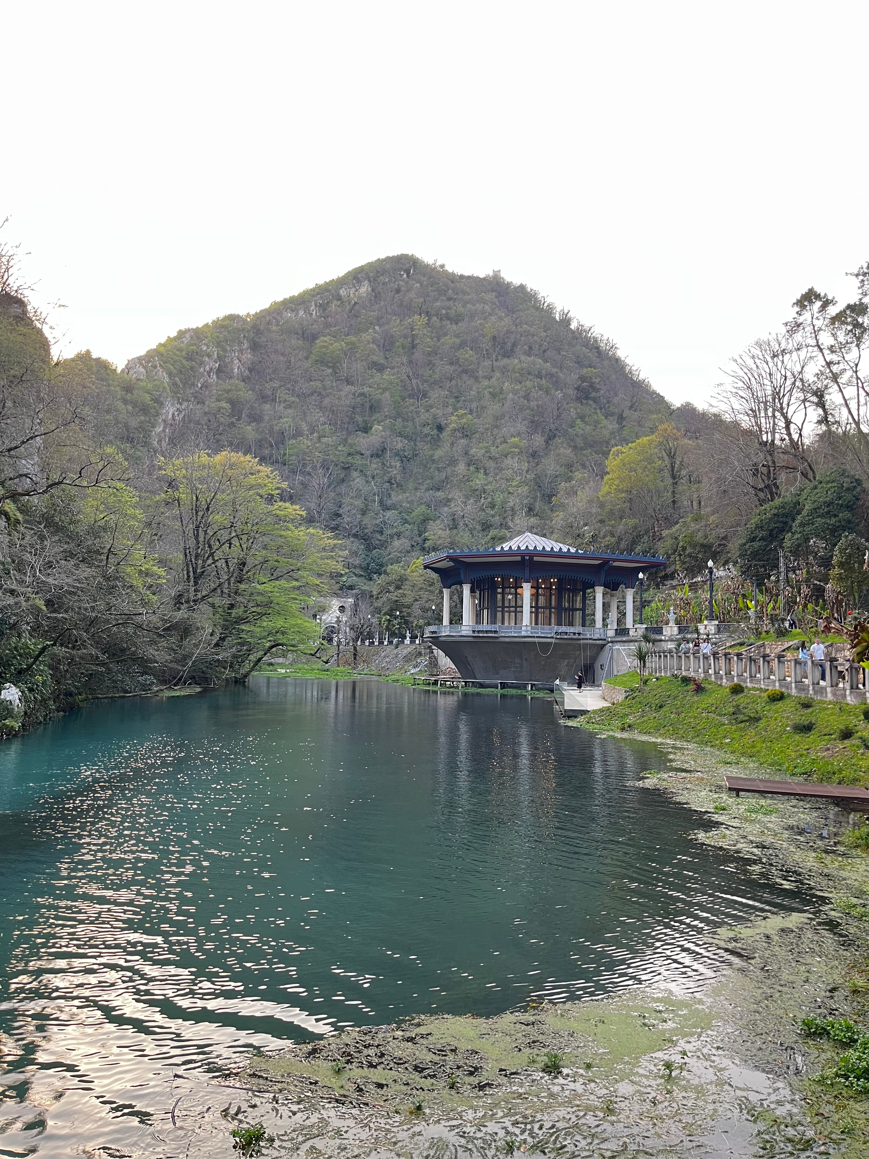 Фото Дивный Сад