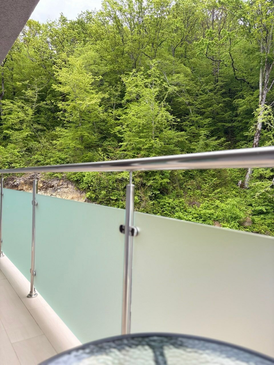 Фото Спутник