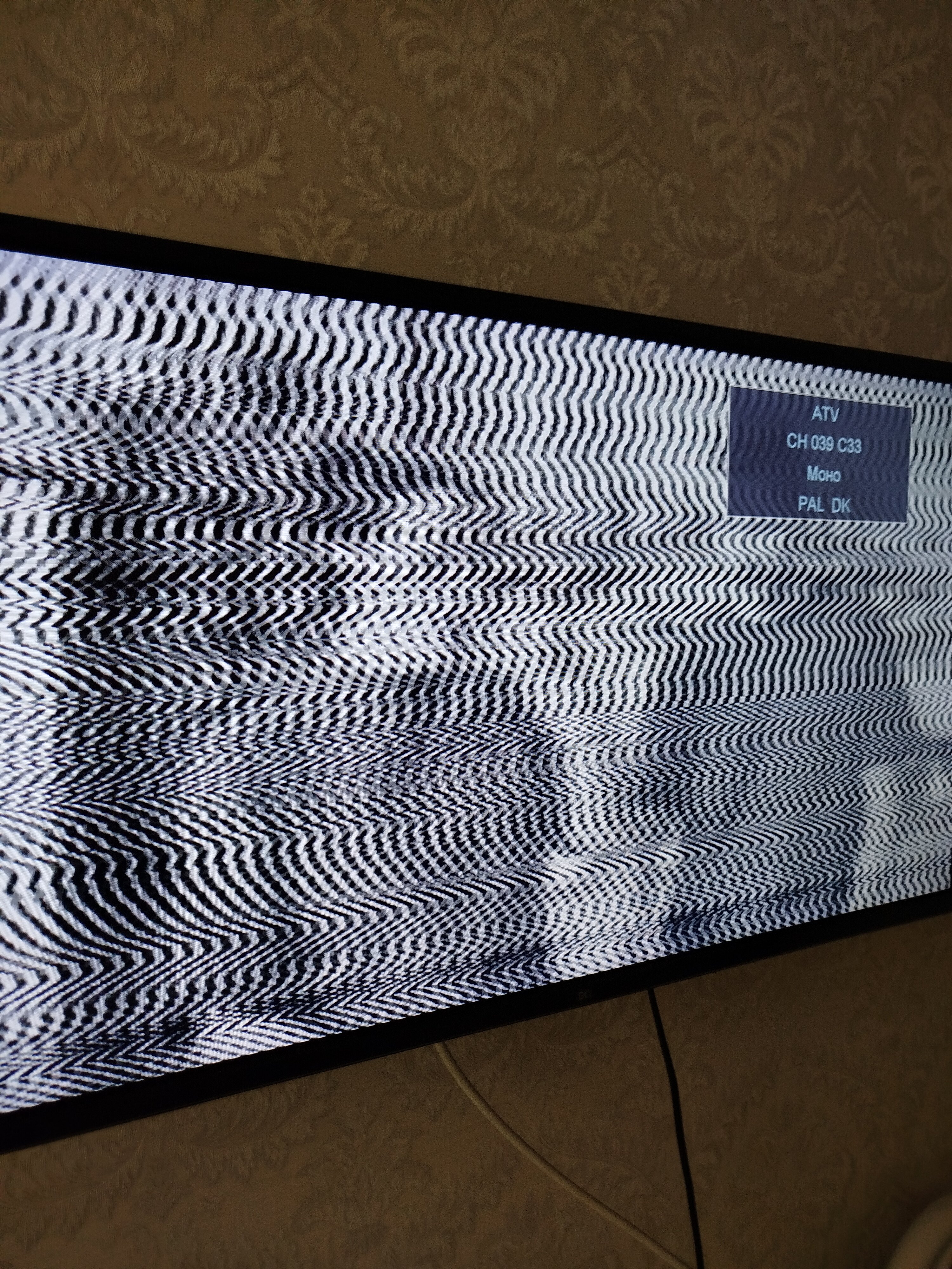 Фото Гармония