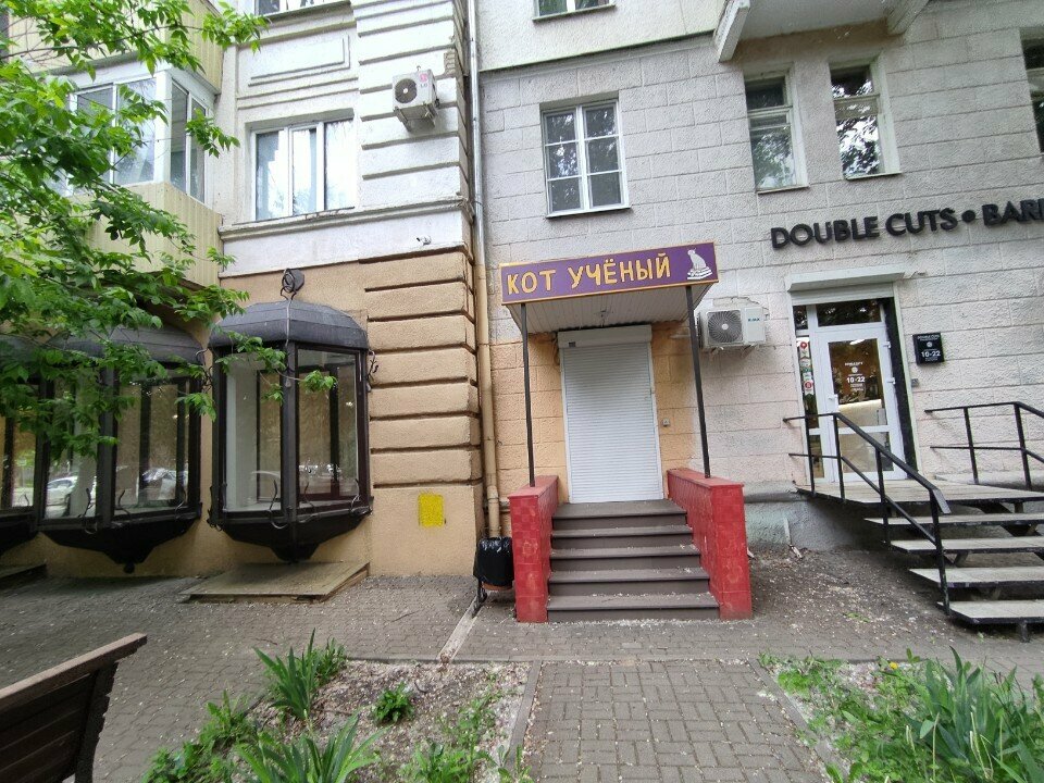Tutoring Кот ученый, Voronezh, photo