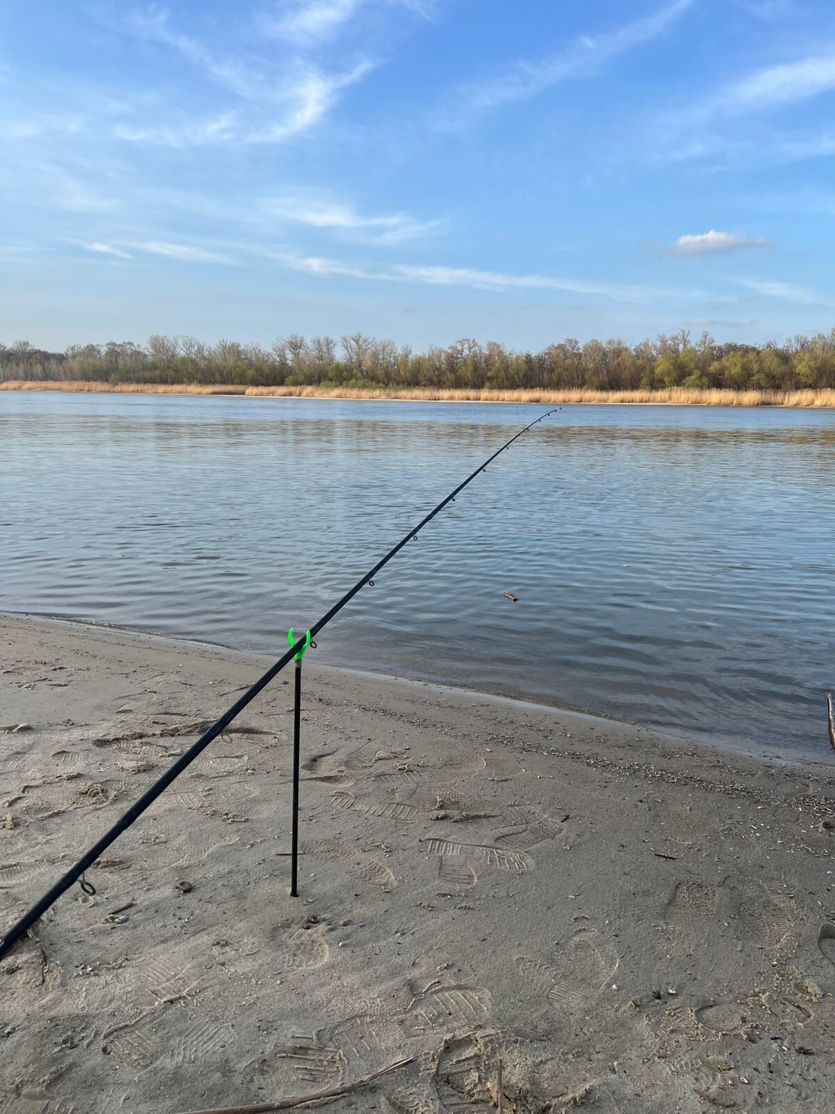 Фото 4 сезона