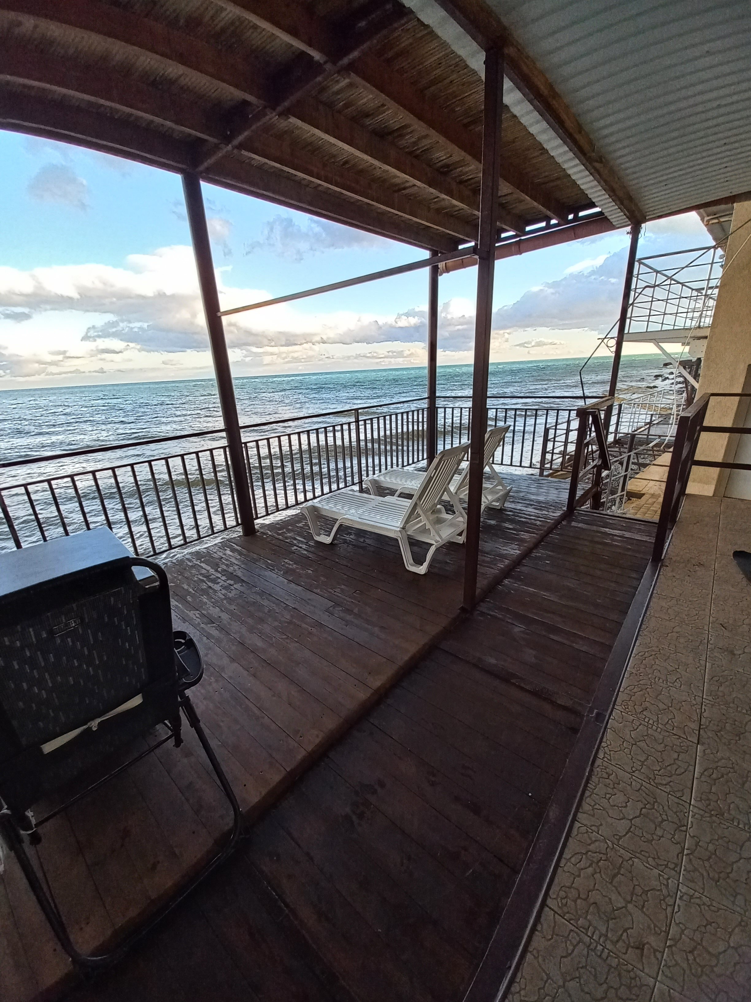 Фото Горная лаванда