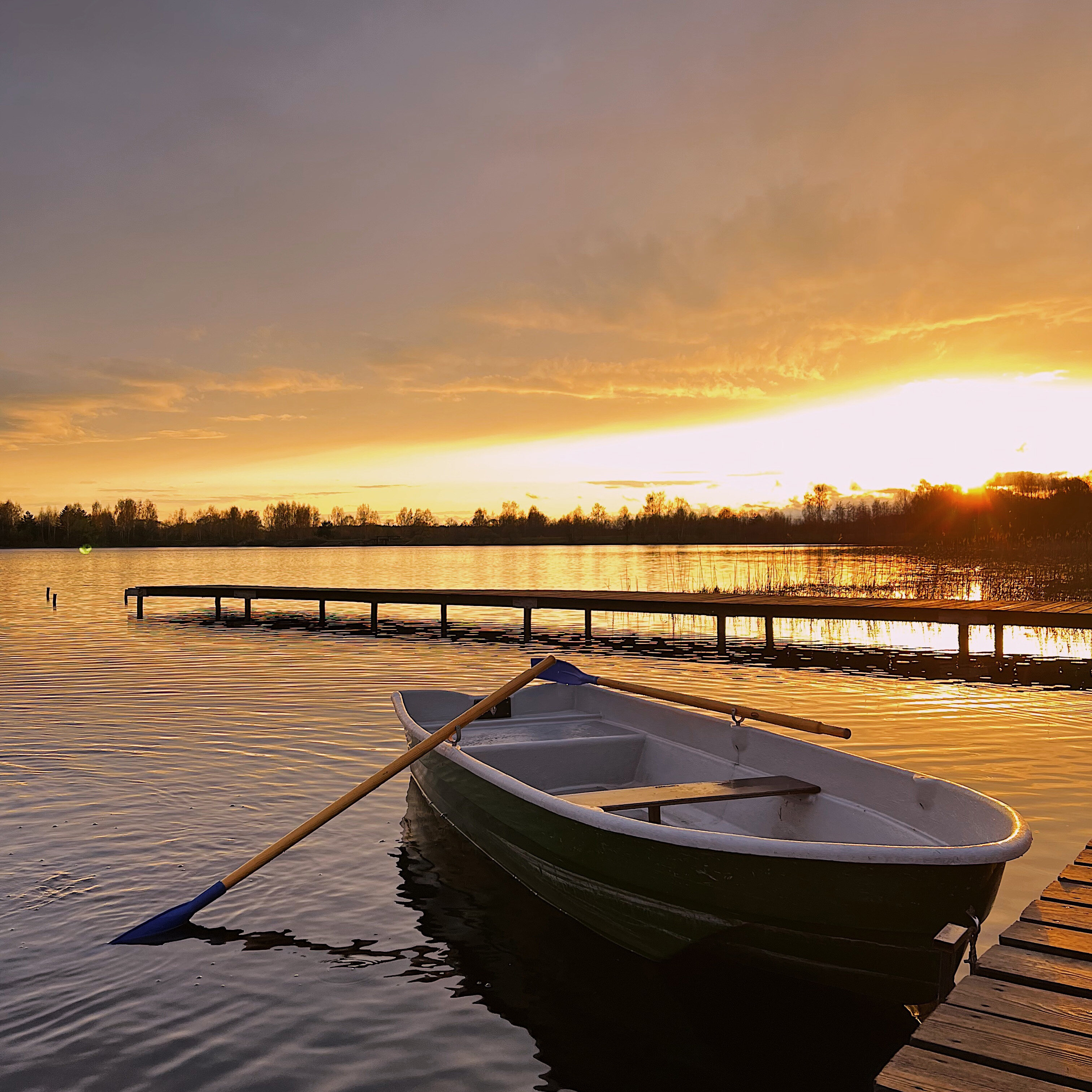 Фото А-Ферма