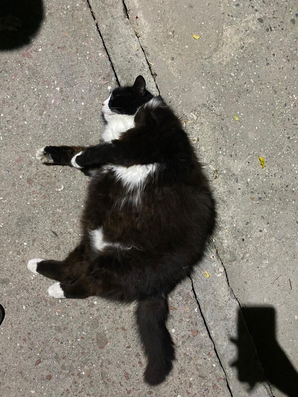 Фото Теремок