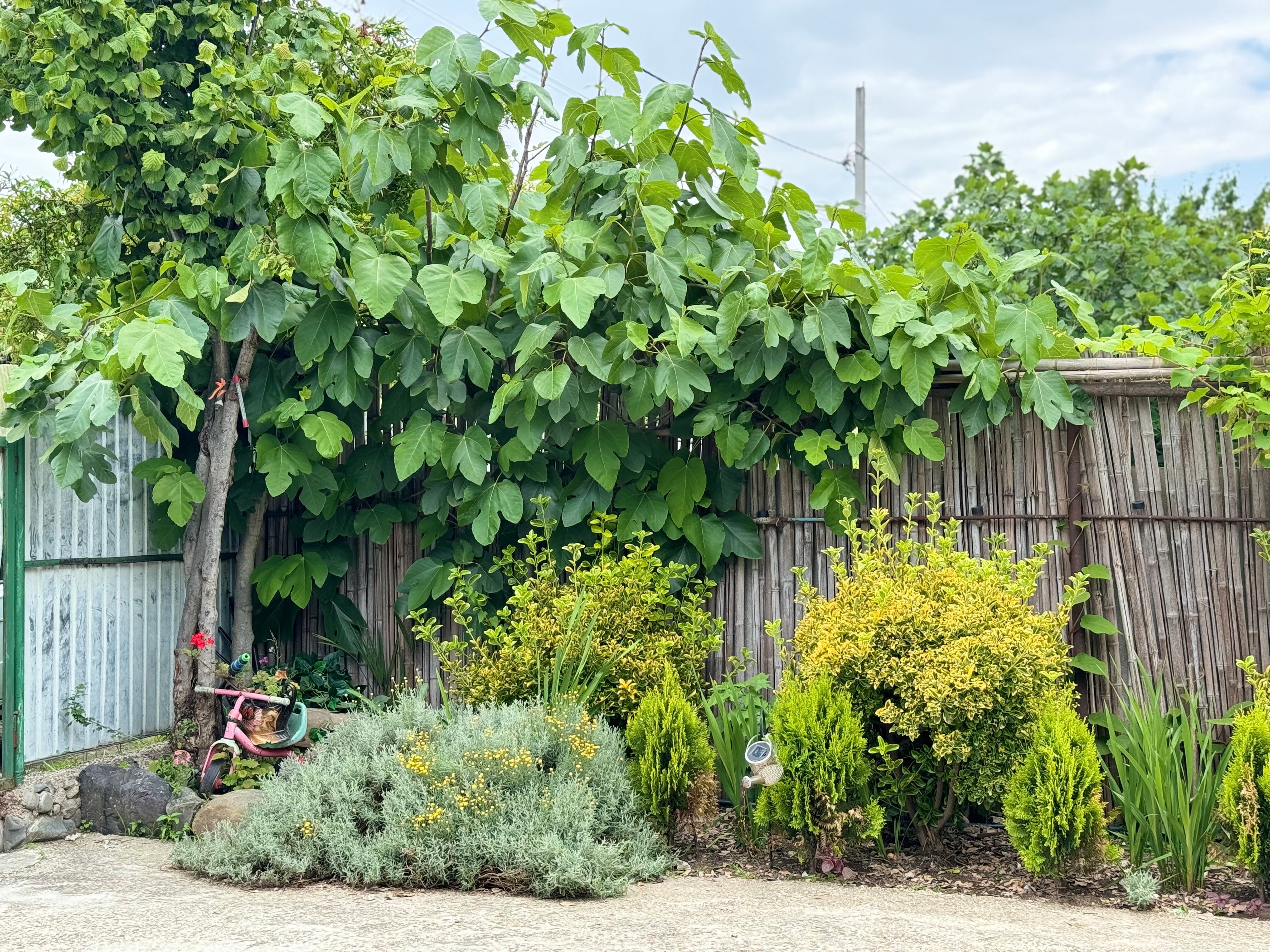 Фото Hotel Damir