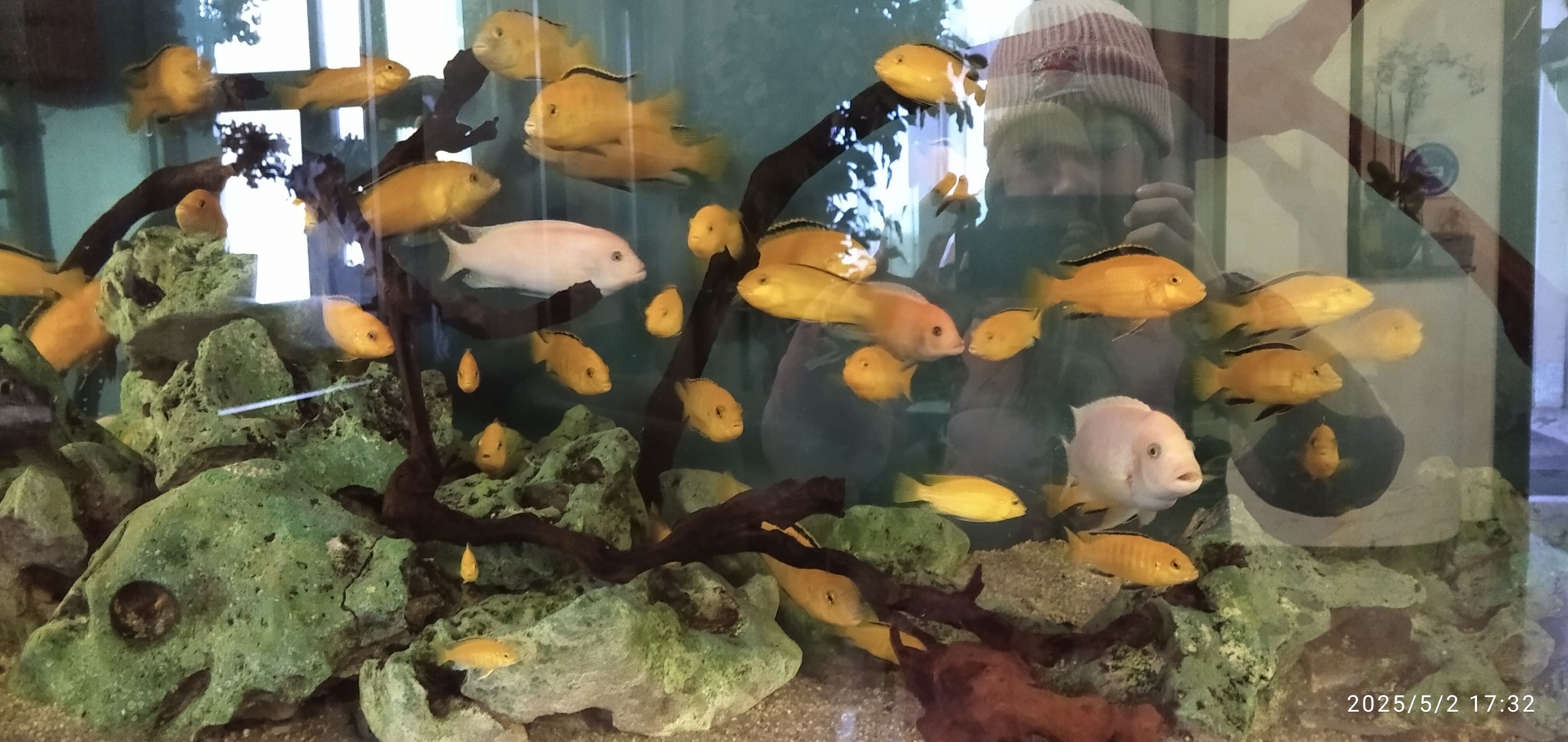 Фото Николь