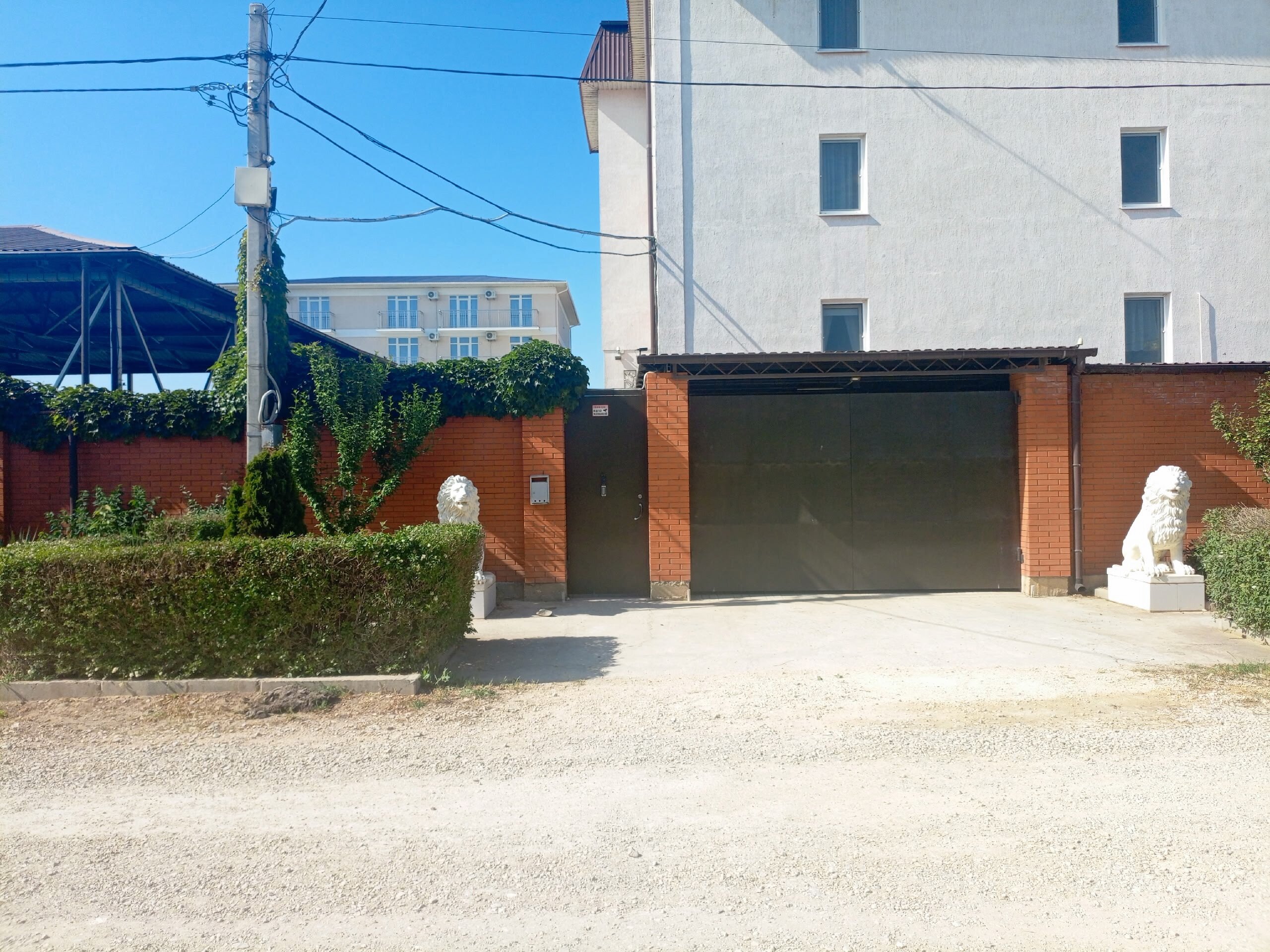 Фото Белый Лев