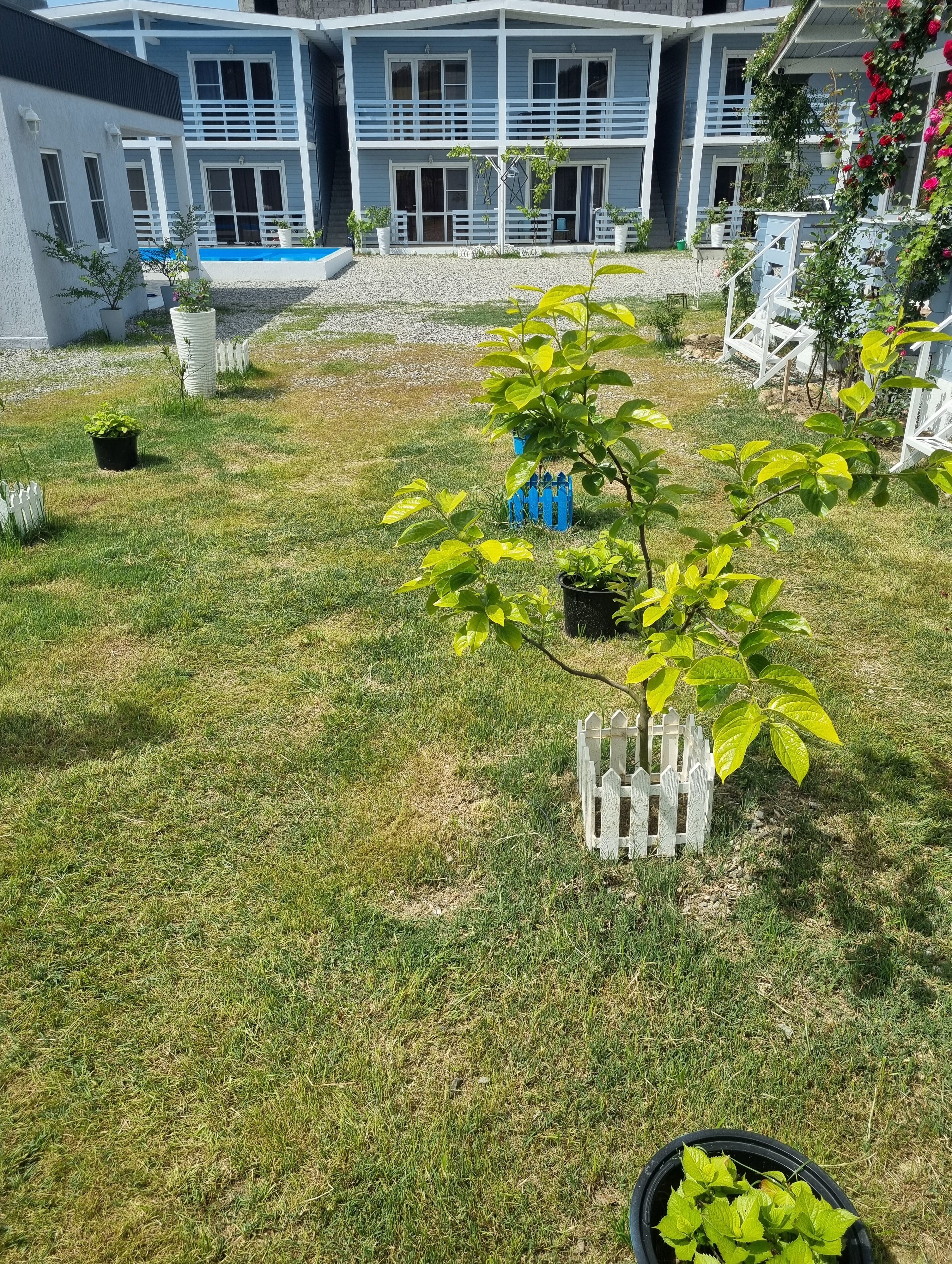 Фото Вилла Лаванда