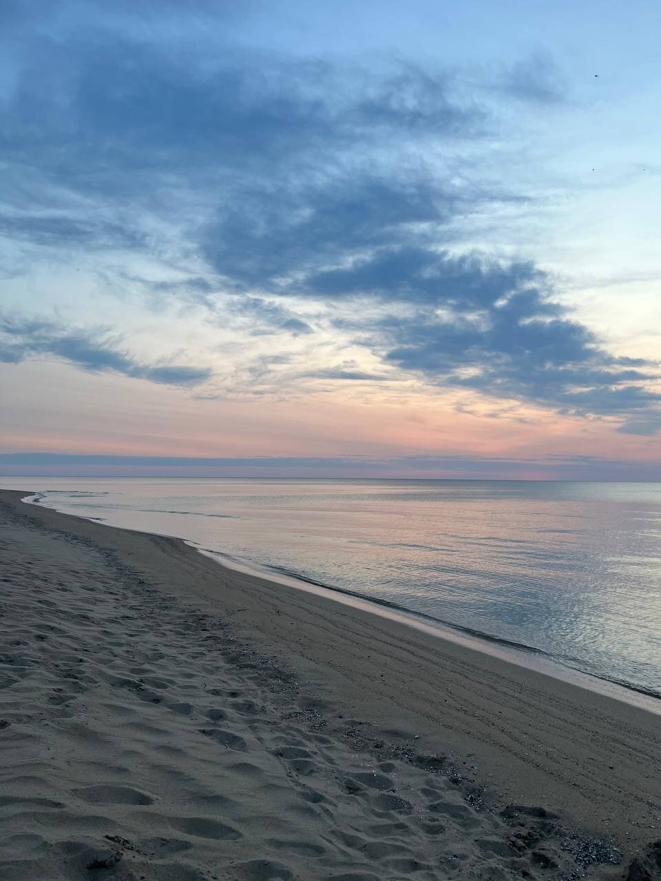 Фото Фламинго