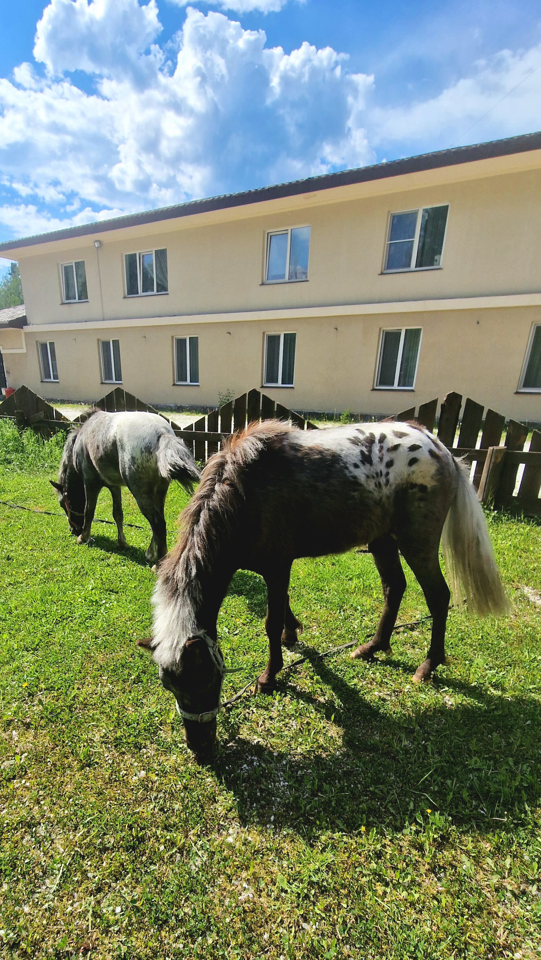 Фото Евразия