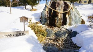 Гостиница Toyoko Inn Hokkaido Tokachi Obihiro Ekimae