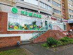 Nash Sad (Dzerzhinsky Street, 60), gardening shop