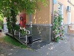 Virgin cvet (Krasnova Street, 28), floristeria
