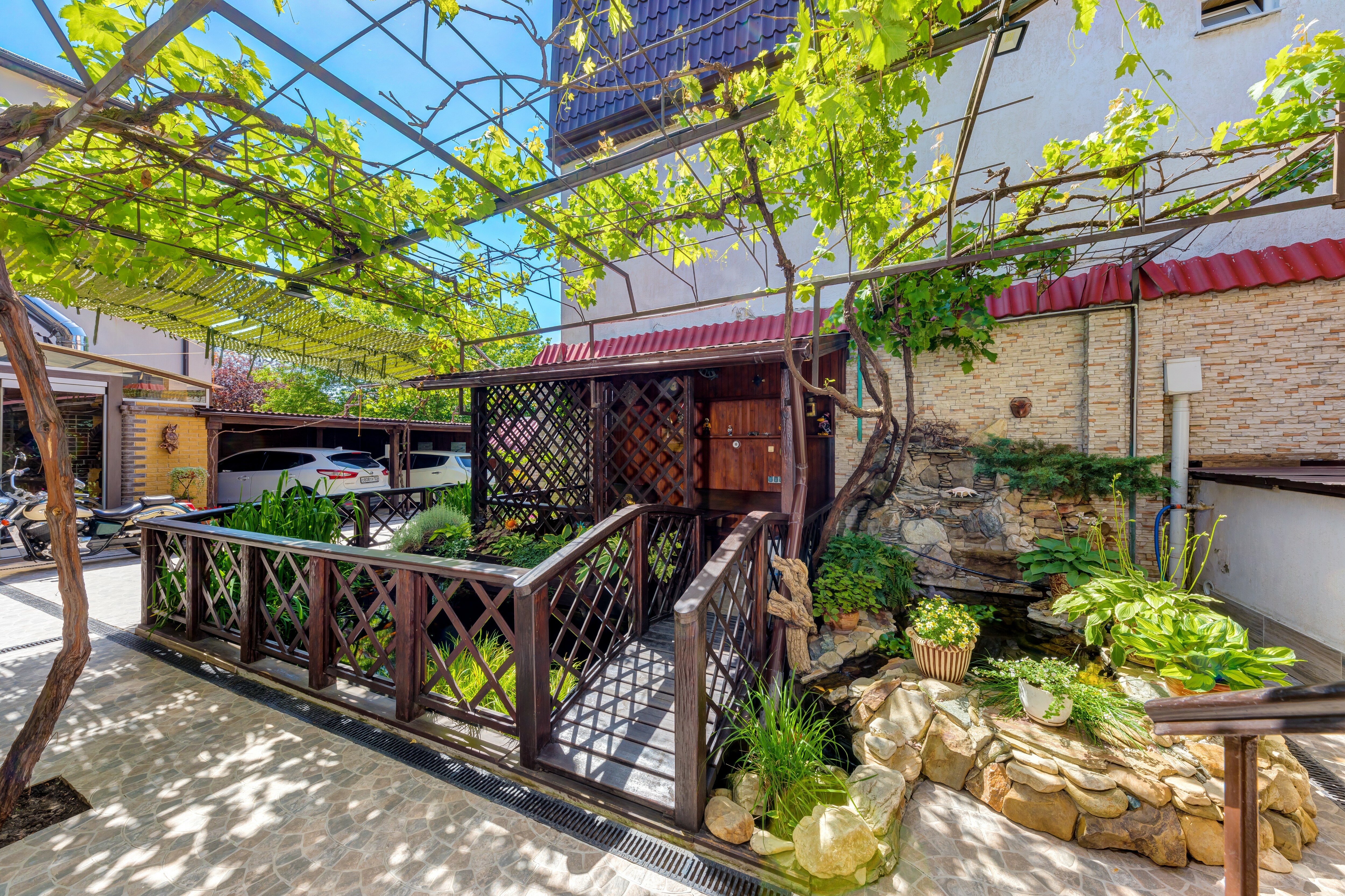 Фото Золотая рыбка