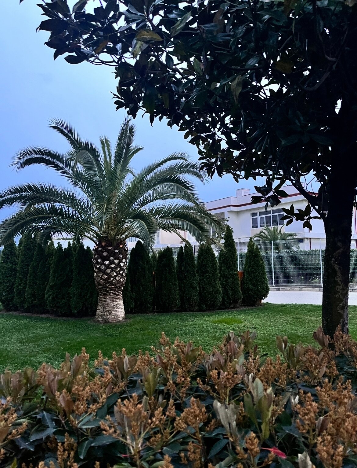 Фото Добрый