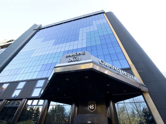 Фото Grand Hotel Barone di Sassj