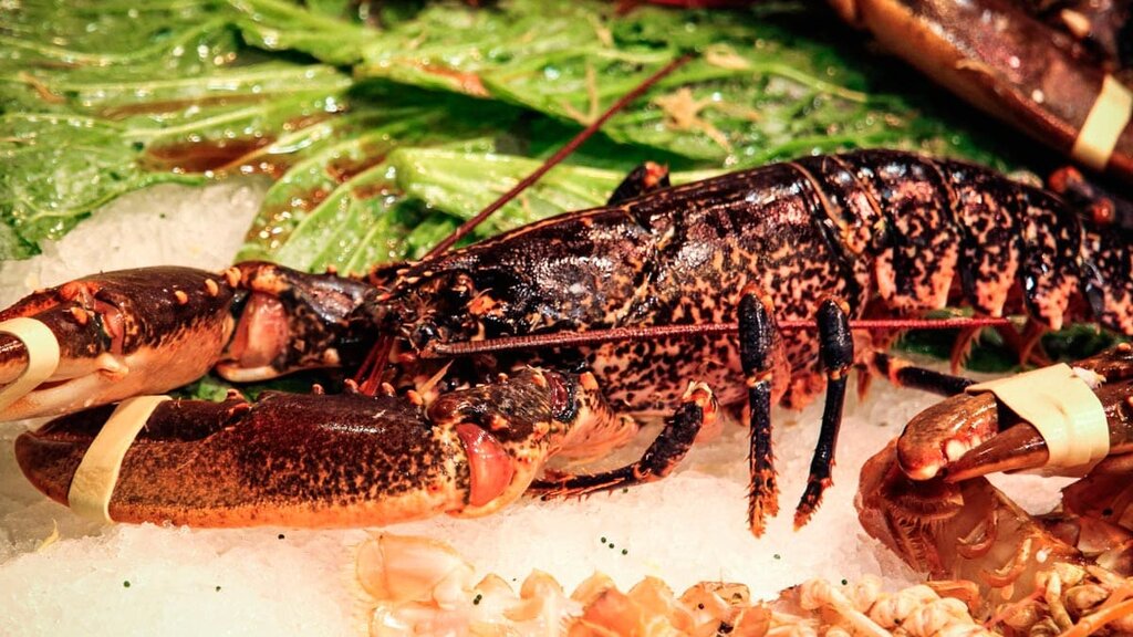 Fast food Donercim Kokorec, Cesme, photo