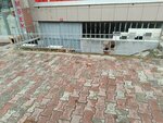 Çağdaş Mermer & Granit (İstanbul, Gaziosmanpaşa, Barbaros Hayrettin Paşa Mah., Hoca Ali Aslan Cad., 20A) ، تجهيزات مواد حجرية