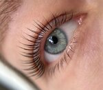 Makarenko Studio (Novosibirskaya Street, 14А), eyebrow and eyelash salon